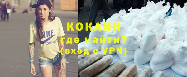 стаф Анжеро-Судженск