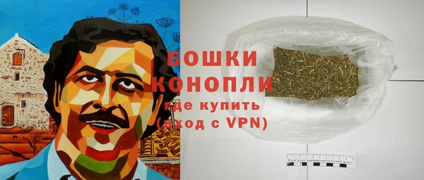 крисы Белая Холуница