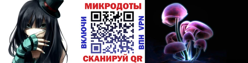 Галлюциногенные грибы Psilocybine cubensis  Кораблино 